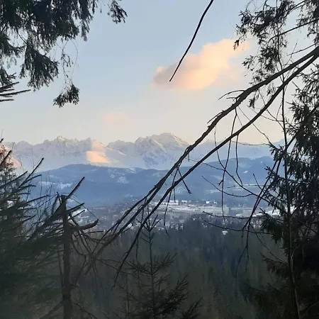 Шале Cyrwony Поронин