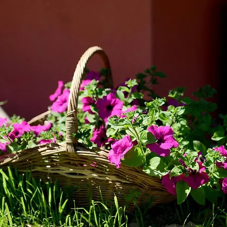 Cyrwony Поронин