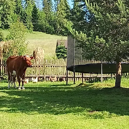 Cyrwony Поронин